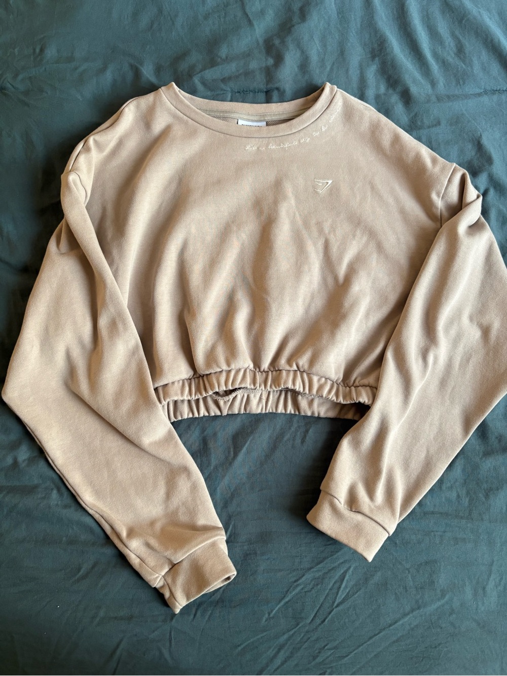 Gymshark x Whitney Simmons Gym Shark Collab Crop Crewneck